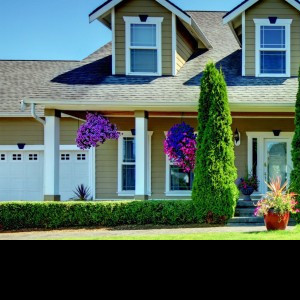 Residential Flat for Sale